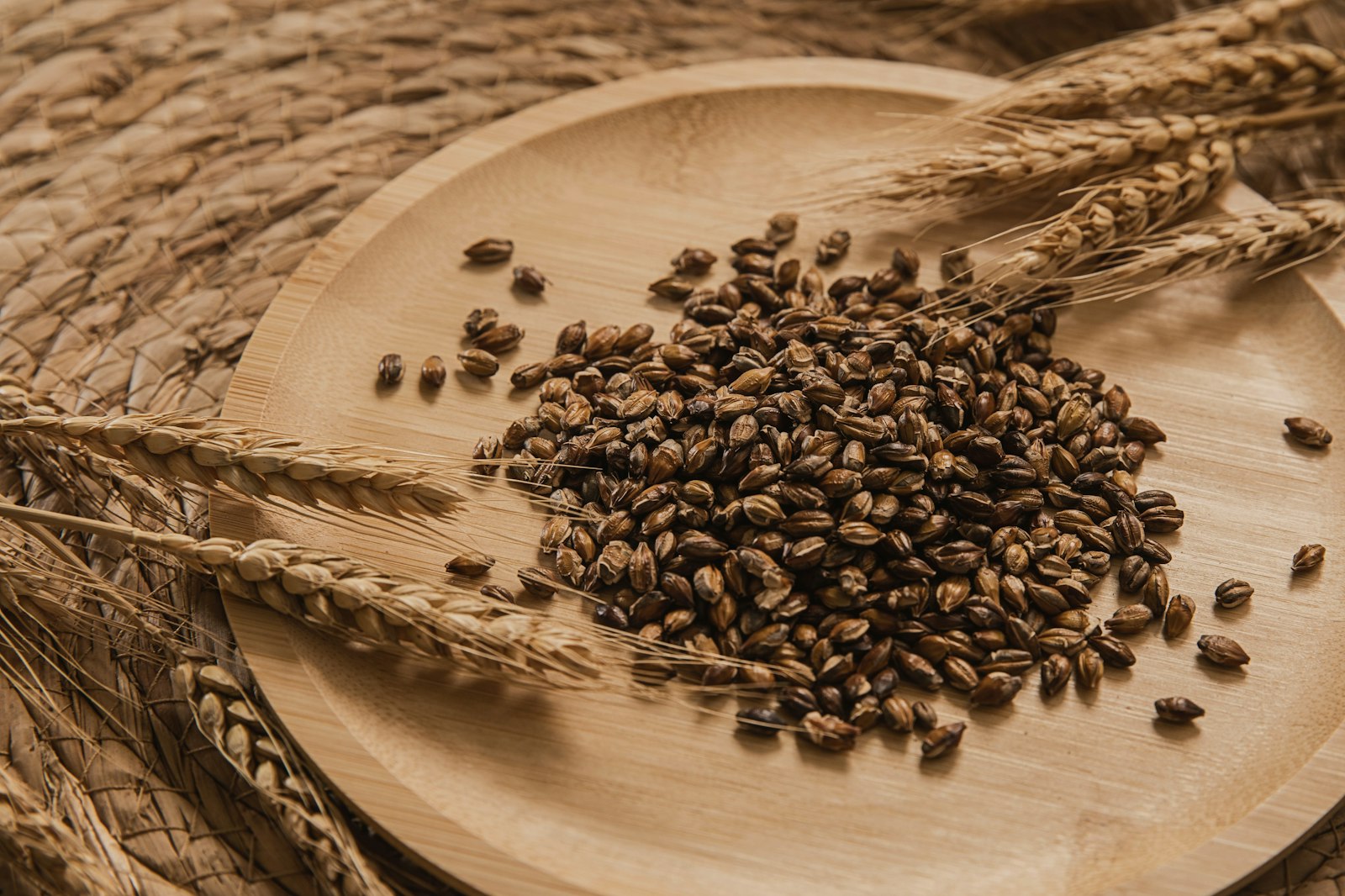 Malted barley grains and ears of barley on a wooden plate.