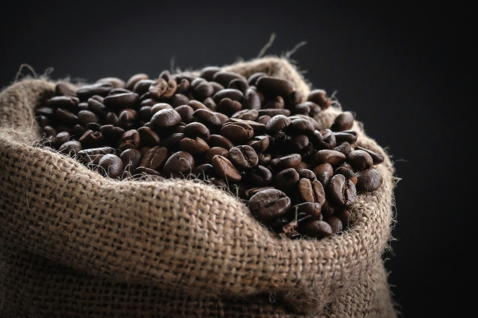 Roasted coffee beans piled inside an open burlap jute sack