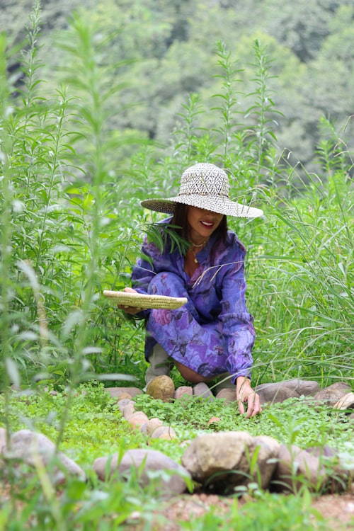 A grower in a sun hat harvesting herbs by hand among tall green rows