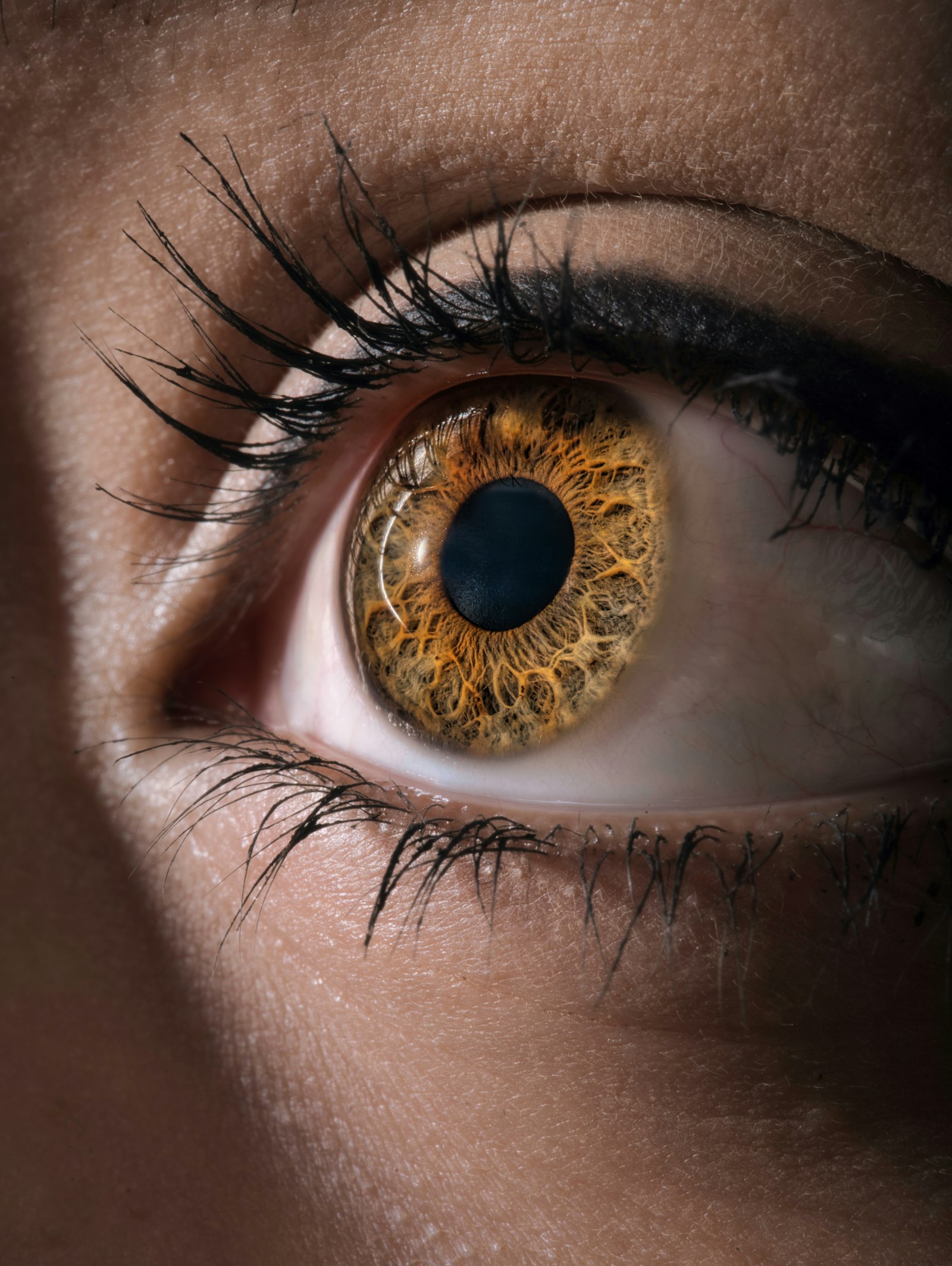 Macro photograph of an eye, the amber and gold fibres of the iris radiating around a dark pupil, lashes framing the edges