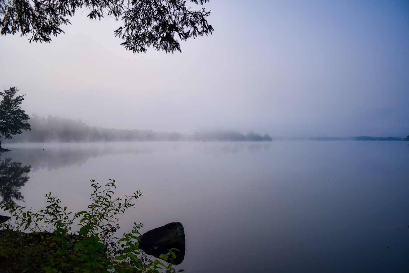 Half Light series cover — fog hanging over still lake water at dawn