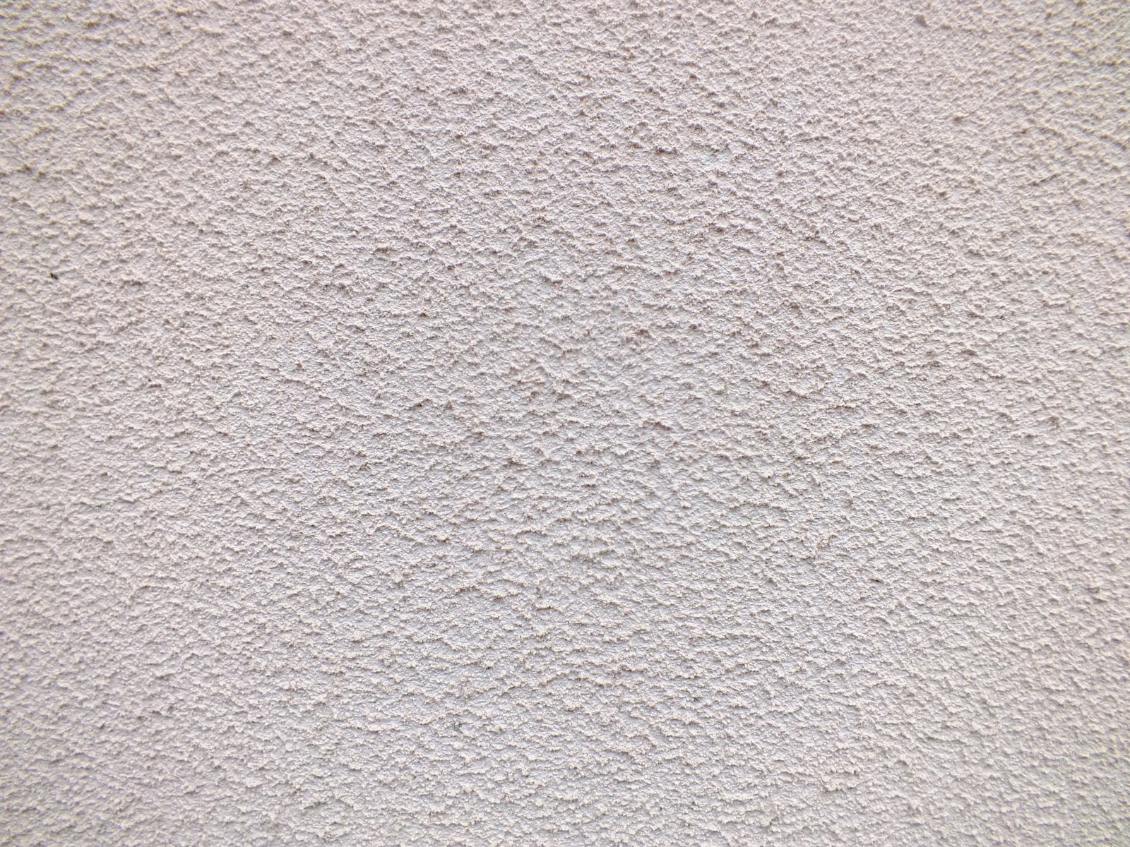 Close-up of a warm off-white textured plaster wall