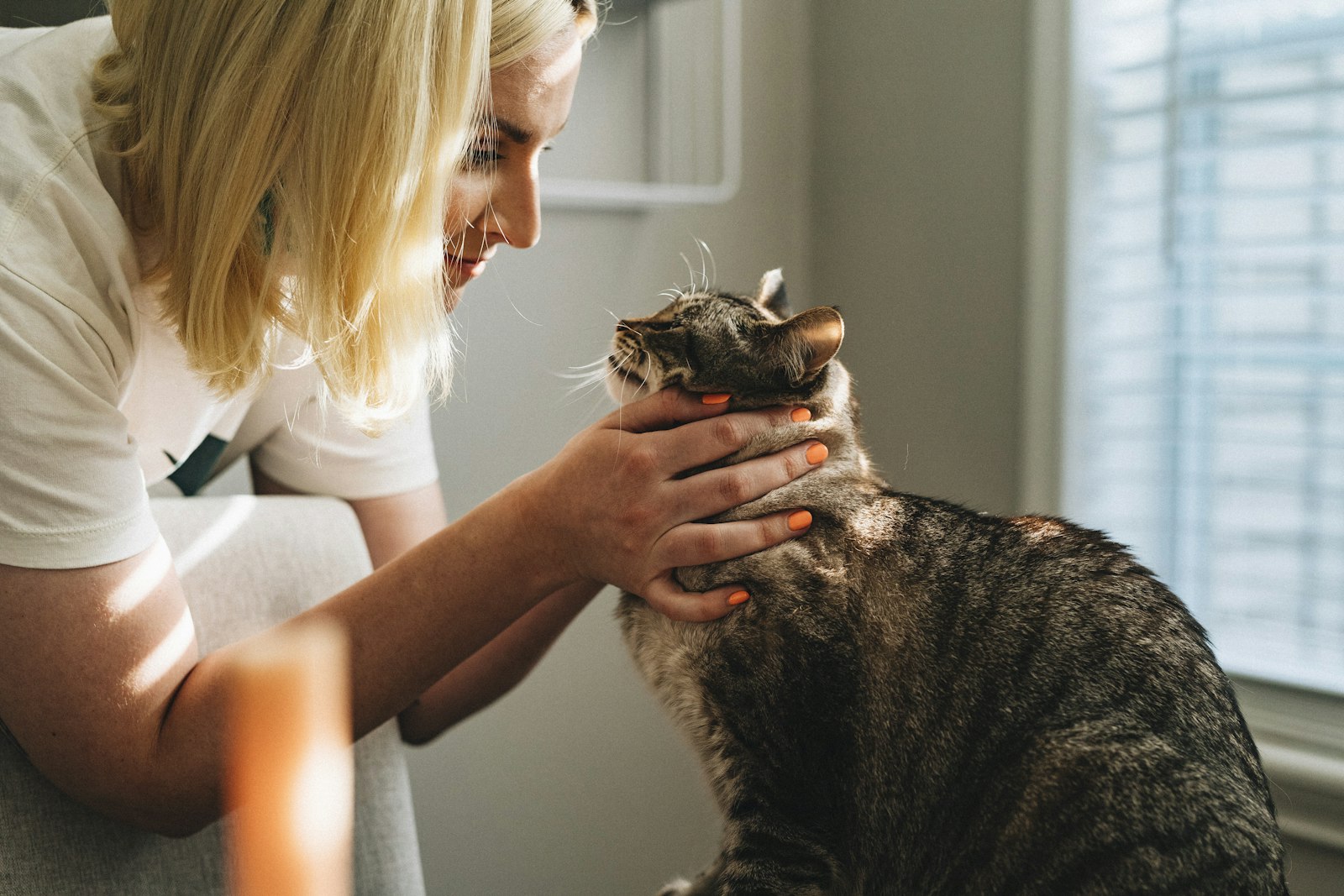 A woman gently stroking a tabby cat by a sunlit window