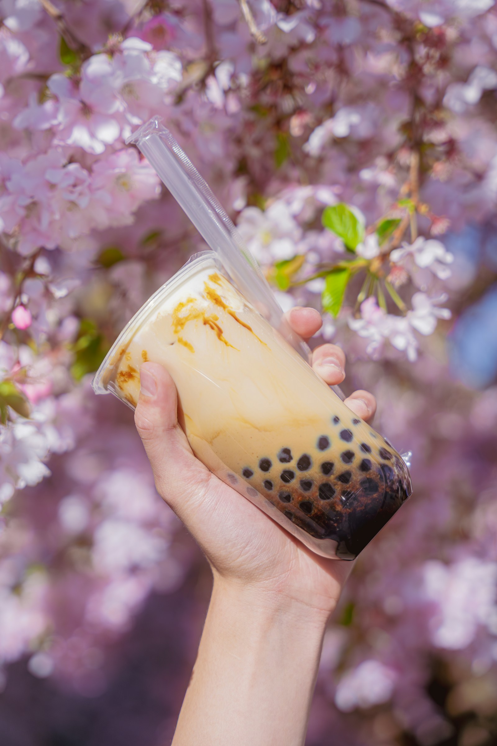 Bàn tay cầm ly trà sữa trân châu đường đen size L của Ú Òa dưới tán hoa
