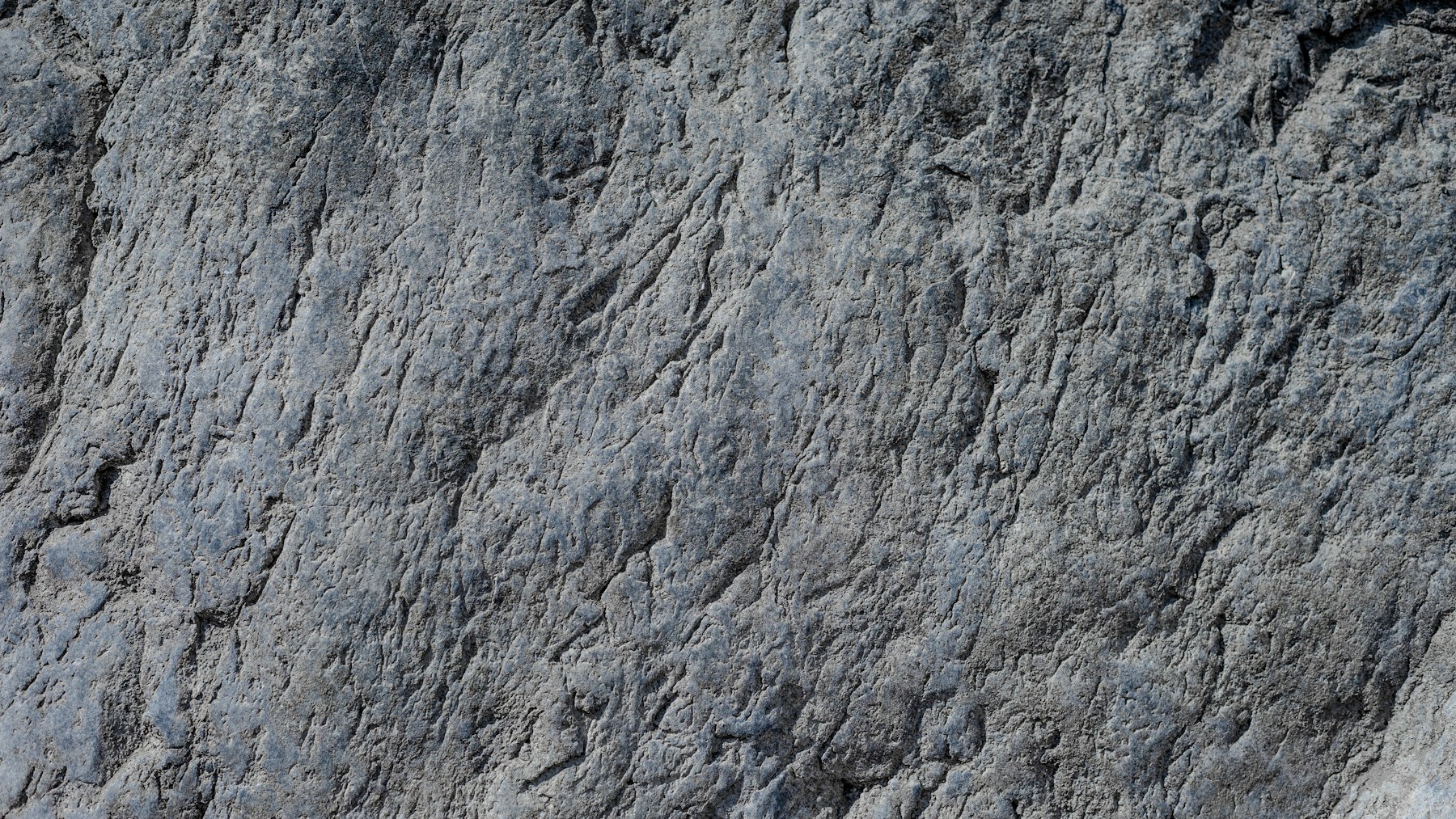 Close detail of a weathered grey rock face, its layers fractured and flaking in raking light
